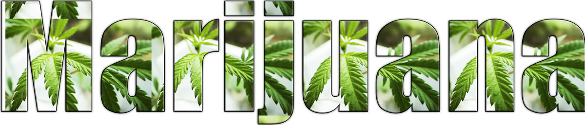 signs someone is addicted to weed