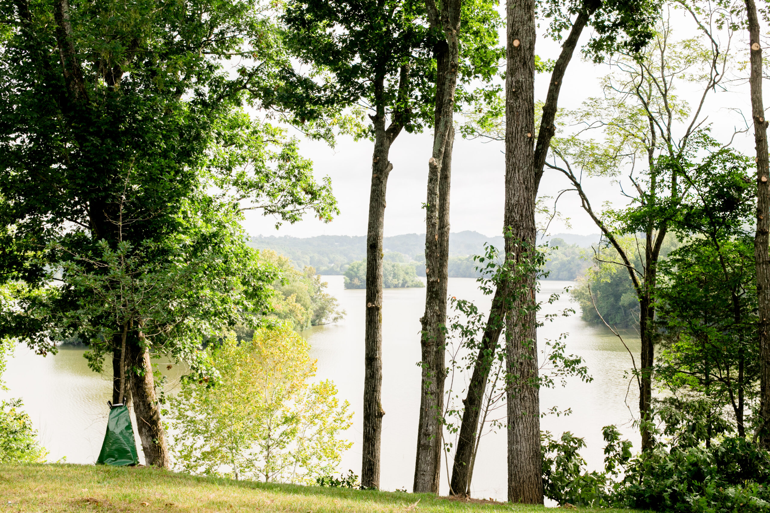 Addiction Treatment Center For Fentanyl In Tennessee